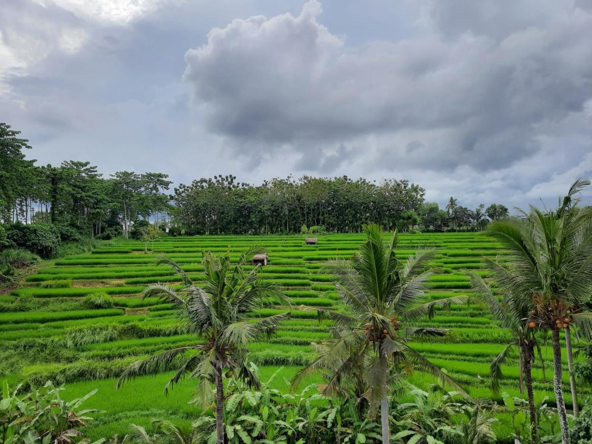 Serenity Private Mas Homestay *