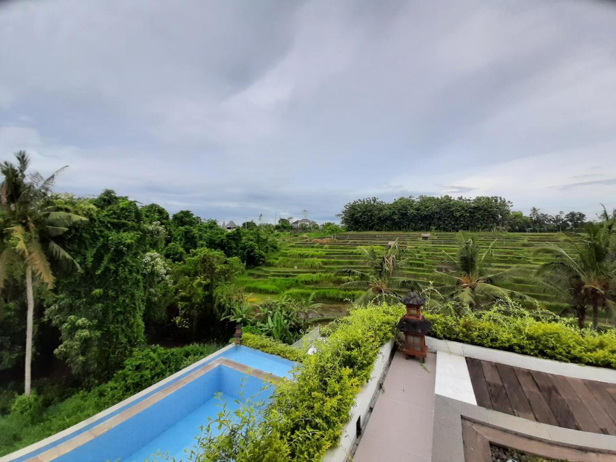 Serenity Private Mas Homestay *