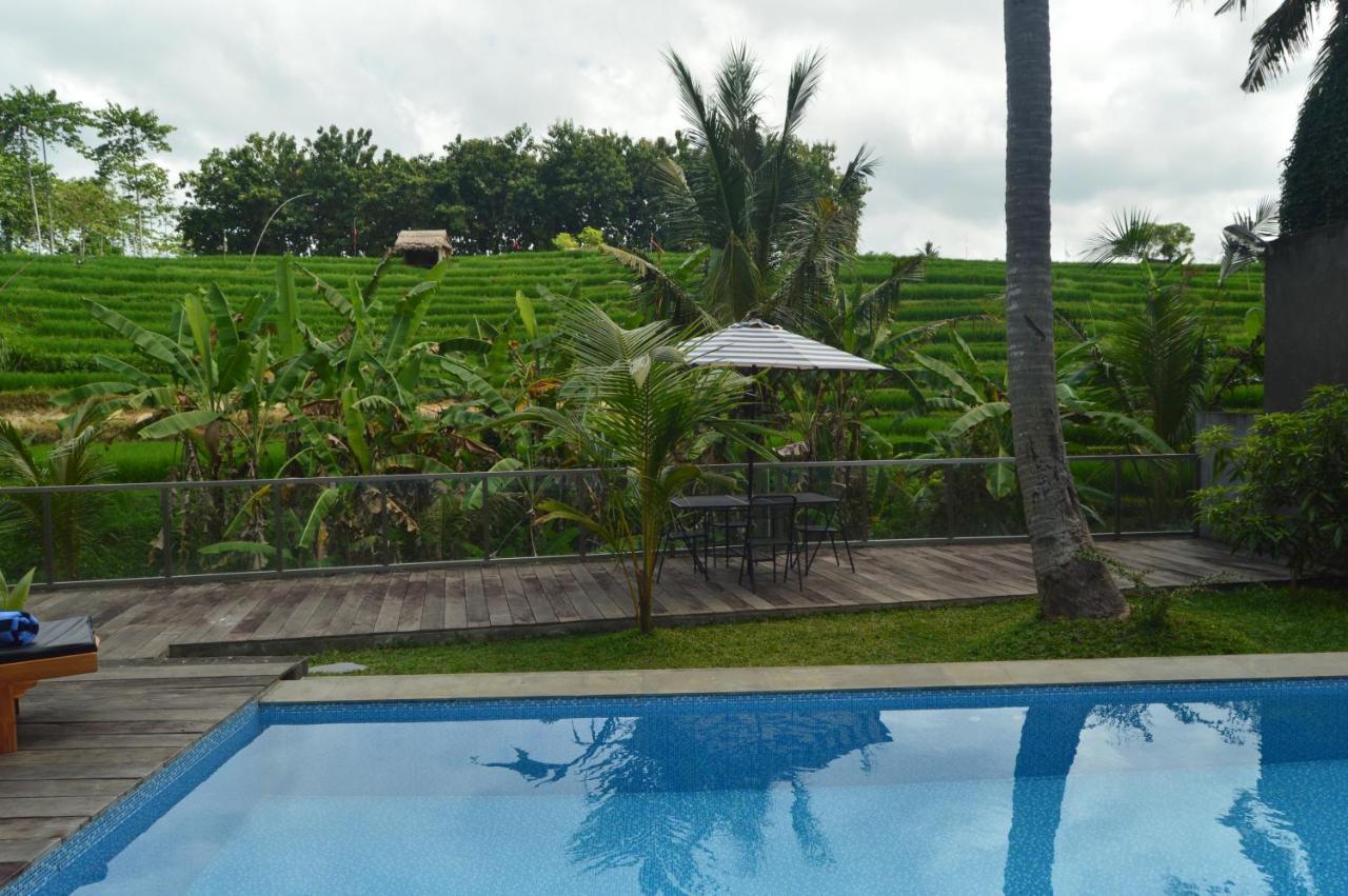 Serenity Private Mas Homestay *