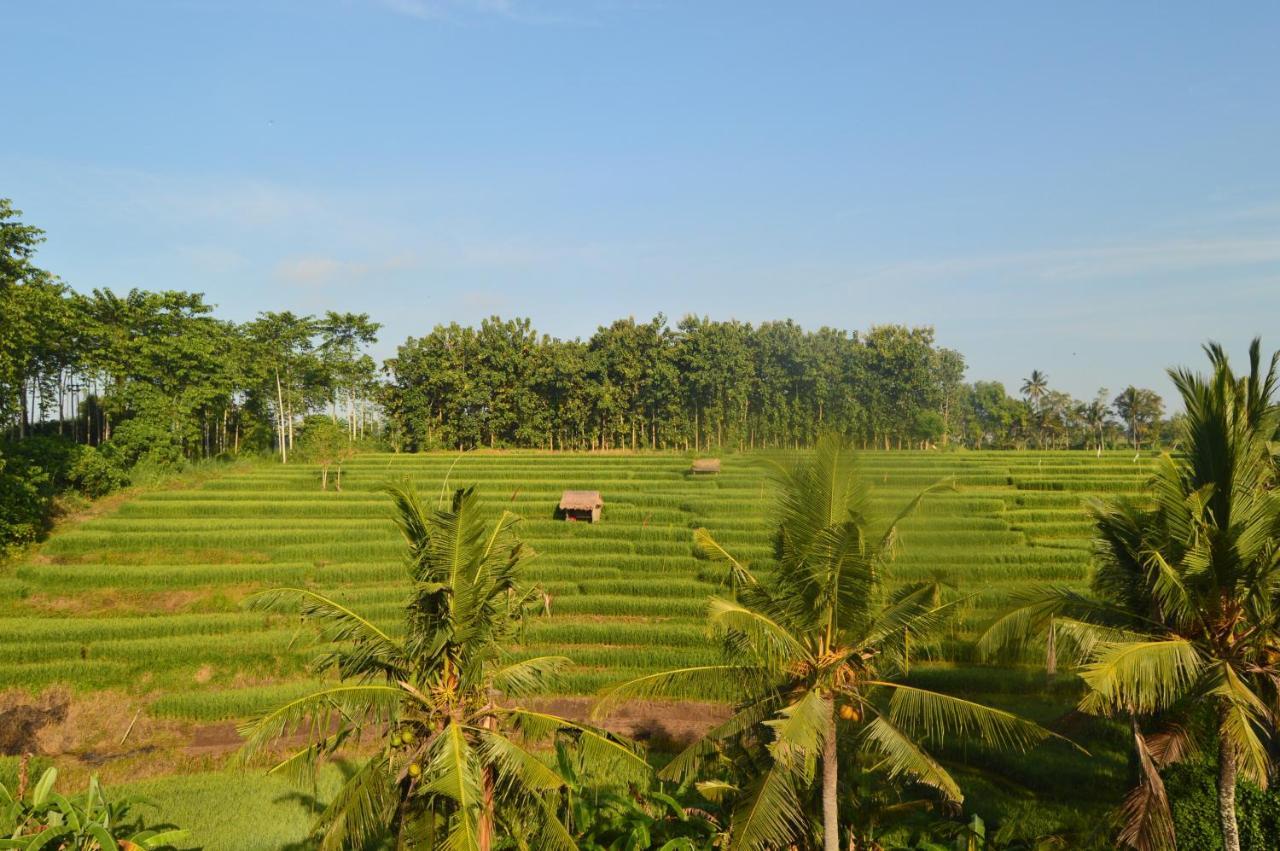 Serenity Private Mas Homestay