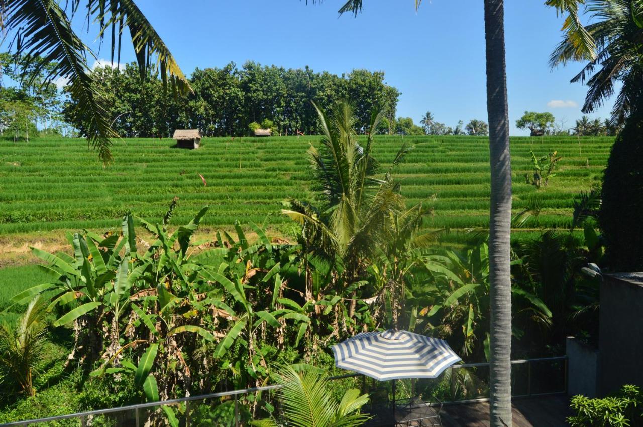Serenity Private Mas Homestay *