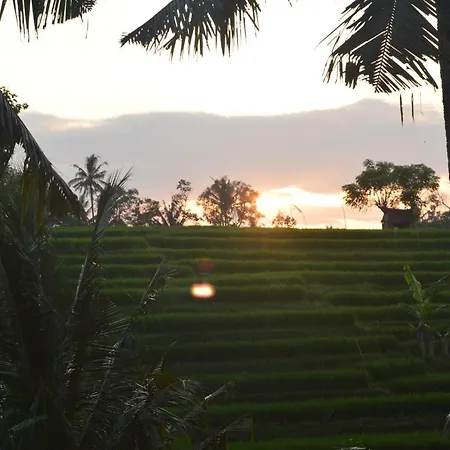 Serenity Private Villa Mas Ubud Ubud (Bali) Exterior photo