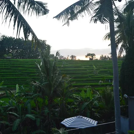 Serenity Private Villa Mas Ubud Ubud (Bali) Exterior photo