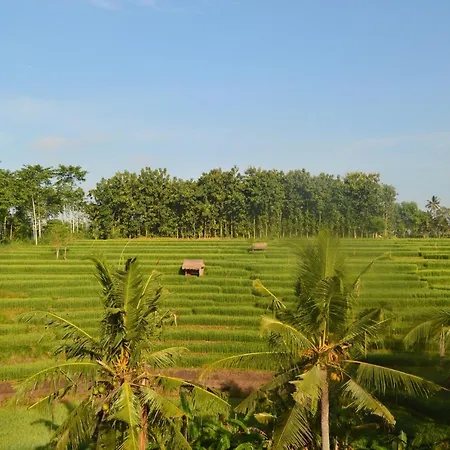 Serenity Private Villa Mas Ubud Ubud (Bali) Exterior photo