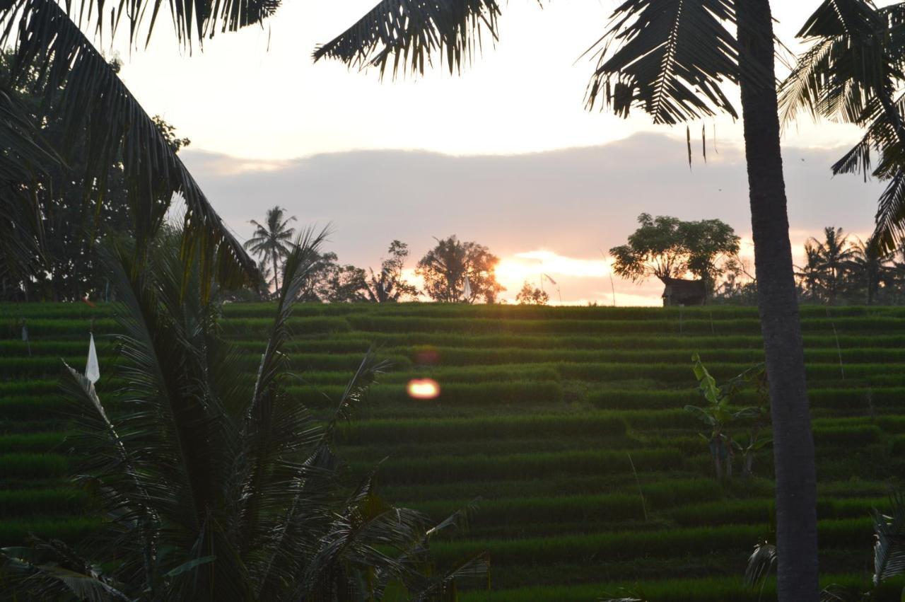 Privatunterkunft Serenity Private Mas